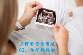 early pregnancy ultrasound 1.jpg